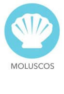 alergenos-moluscos